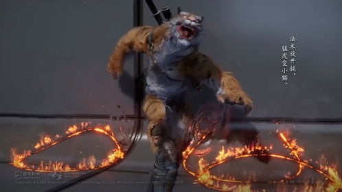 《黑神话悟空》深度解析：版本揭秘与独家预购攻略指南