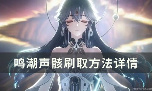 《鸣潮》伤害解析：声骸词条攻略与优先级深度剖析