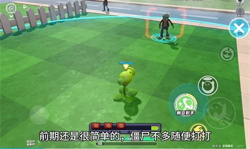 植物大战僵尸杂交版：深度解析环境植物强度与进化奥秘