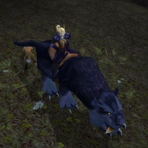 《灵魂面甲》黑豹坐骑捕获攻略：揭秘高效捕捉技巧