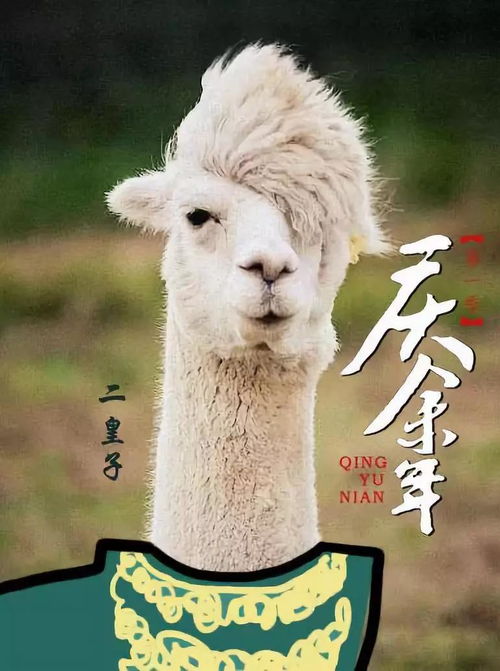 《灵魂面甲》大羊驼高效获取法，轻松解锁新价值！