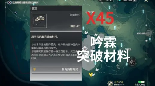 《鸣潮》云芝路线攻略：吟霖突破必备材料采集点全解析