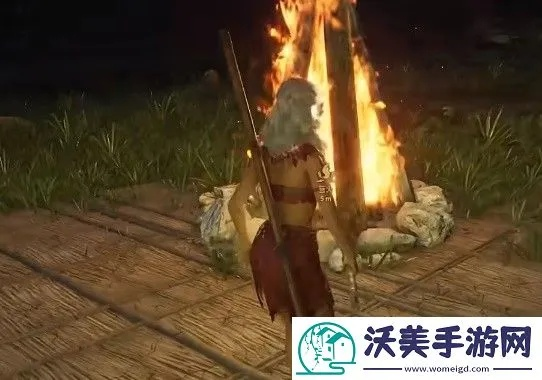 高效防腐秘籍：灵魂面甲营火建造攻略揭秘