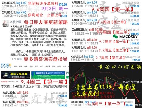 《鸣潮》吟霖云芝高效采集攻略，掌握新路线提升收益