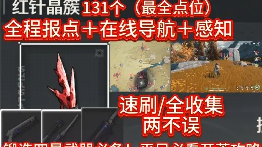 《鸣潮》寻音材料高效攻略：红针晶簇采集秘境探秘