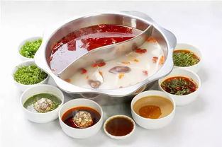 《鸣潮》料理秘籍：独家配方与神奇效果大公开