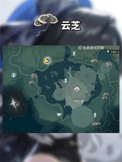 《鸣潮》突破素材高效采集攻略，揭秘快速路线新技巧