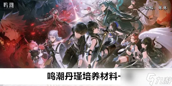 《鸣潮》暗主丹瑾平民阵容低成本攻略，打造高效战力新秘籍