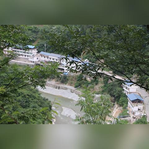 《鸣潮》珍珠草高效采集攻略，解锁神秘价值新路径