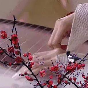 《鸣潮》琴音永恒攻略：解锁“永不消逝的旋律”新境界