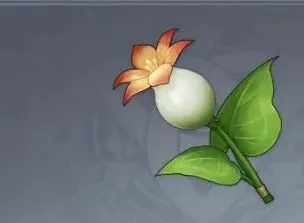 《原神》嘟嘟莲高效采集攻略，一图掌握购买地点秘籍