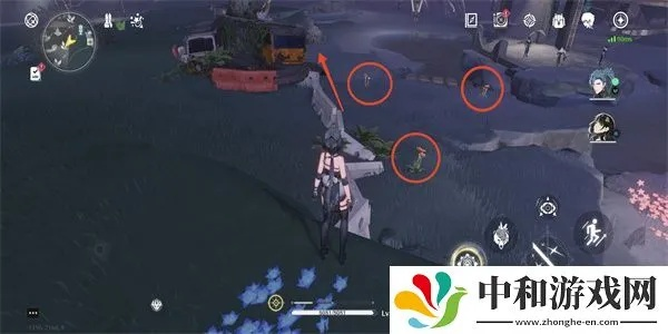 妙弋花高效采集攻略，探索《鸣潮》新境界