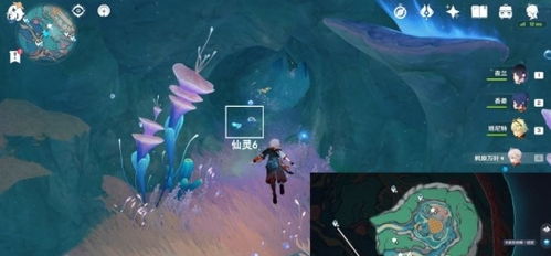 《原神》旧日之海探秘：黄金大鮟鱇藏宝图攻略全解析