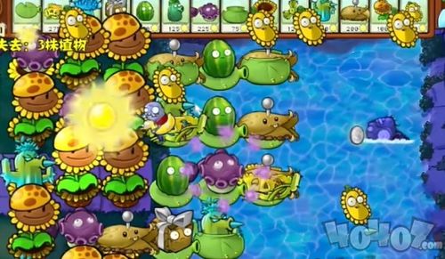 植物杂交攻略：平民轻松通关57关秘籍大公开