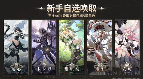 《鸣潮》五星阵容攻略：深度解析输出技巧与阵容搭配新策略