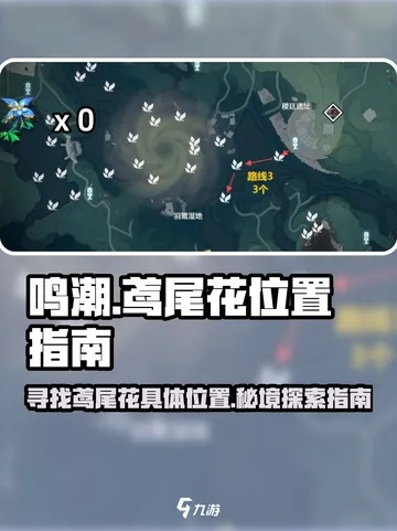 《鸣潮》鸢尾花高效采集攻略，轻松解锁新资源！