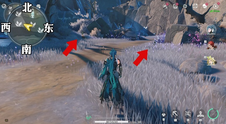 傲寒钟采集攻略：鸣潮新秘境探秘指南