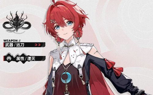 《鸣潮》丹瑾武器攻略：打造最强阵容，装备选择全解析