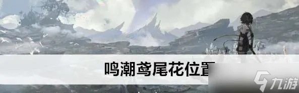 妙弋花高效采集技巧，轻松解锁《鸣潮》神秘价值宝藏