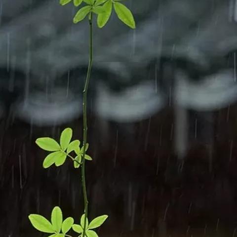 《鸣潮》秋水养成攻略：秋水输出技巧与精良搭配解析