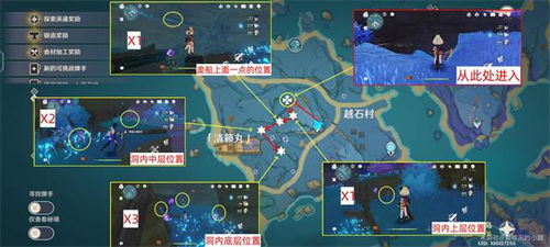 《鸣潮》花卉攻略：高效收集路线大揭秘，轻松升级！