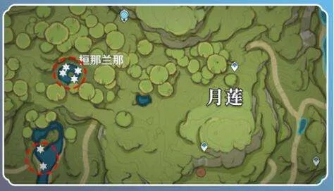 月莲采集攻略：揭秘高效寻宝新秘境