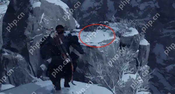 《对马岛之魂》导演剪辑版护符攻略：解锁神秘新技能