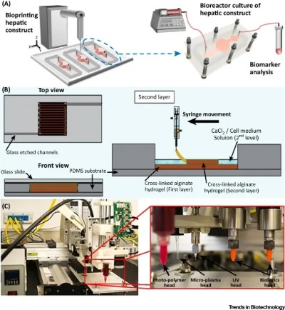 《揭秘非生物动力：动力制作台制作攻略》