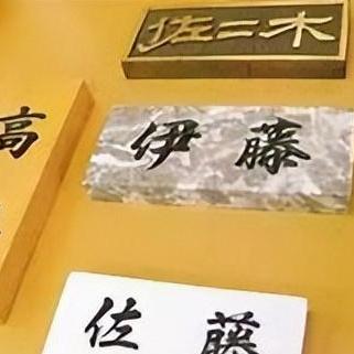 《动物井》探秘：解谜新篇章，智慧挑战升级