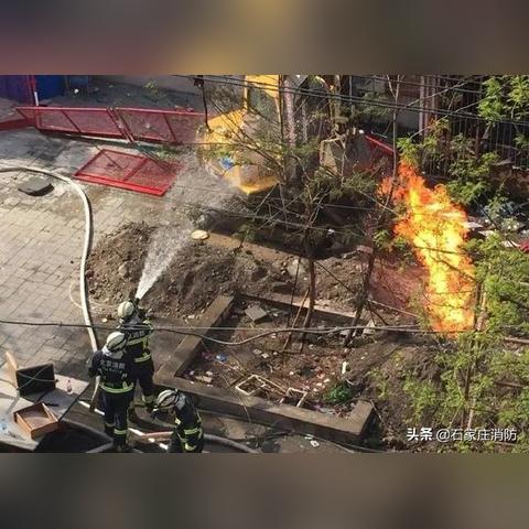 《动物井》全火柴高效攻略，揭秘收藏秘籍大揭秘