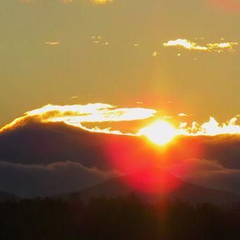 《动物井》深度解析：探秘趣味玩法，体验独特乐趣