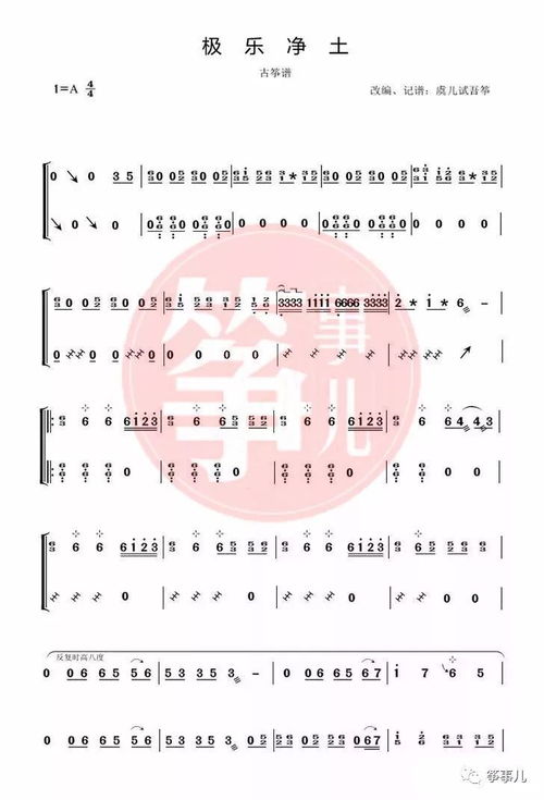 《动物井》曲谱揭秘：全新编曲演绎新价值