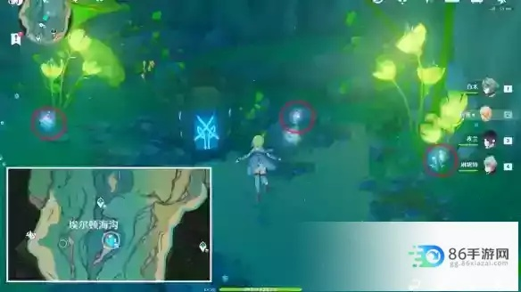 海露花采集攻略：一网打尽原神花海秘境