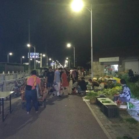 夜族崛起花园城堡布局攻略：揭秘神秘新价值