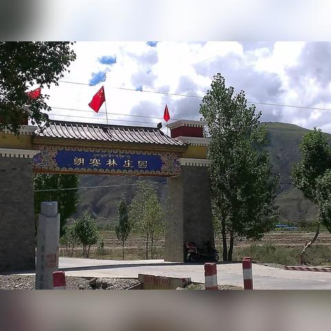 庄园领主农业攻略：高效种植新秘籍