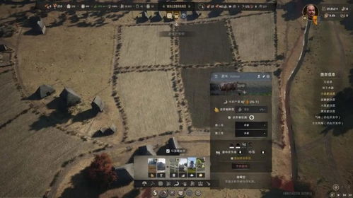 庄园领主影响力飙升秘籍：解锁全新策略宝藏