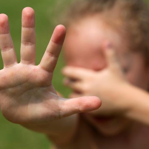 后院动物养殖对《庄园领主》劳动力效益深度解析