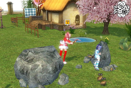 农场奥秘深度解析：揭秘《庄园领主》领主财富增长之道