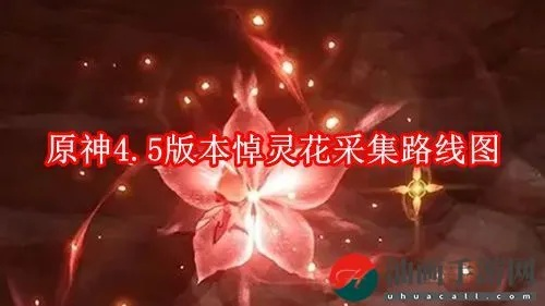 高效攻略！原神悼灵花快速采集路线分享，轻松获得新技巧