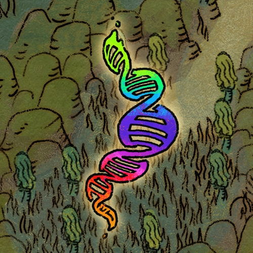 《蟹蟹寻宝奇遇》攻略全解析，深度挖掘宝藏新攻略