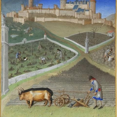 市场供应解析：深度剖析《庄园领主》距离影响新策略