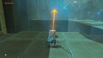 《塞尔达传说》全武器速览攻略，泪眼寻宝新视角