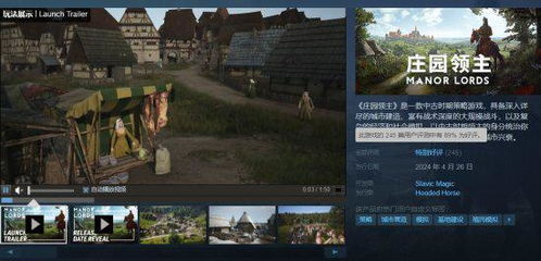 《庄园领主》制作终止揭秘：高效停工策略全解析