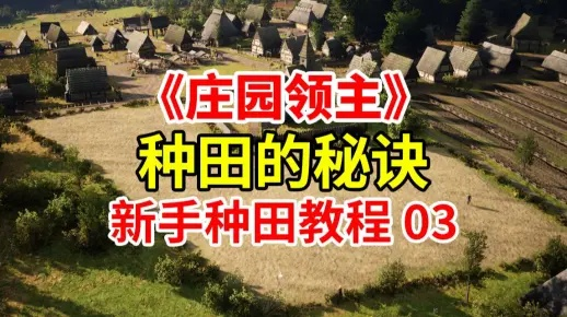 农田管理攻略：庄园领主高效种植新秘籍