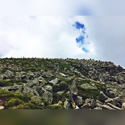 《剑星星刃》玫瑰人生服装获取攻略：解锁独特魅力秘籍