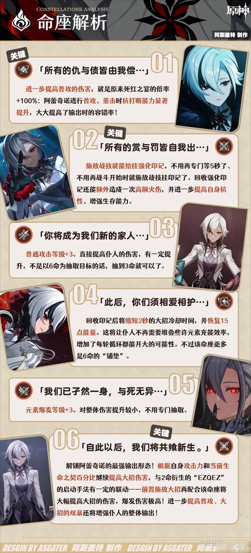 阿蕾奇诺仆人装备攻略：打造最强辅助新秘籍