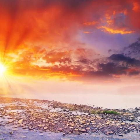 《恶意不息》强力流派攻略：揭秘搭配新思路，战力飙升！