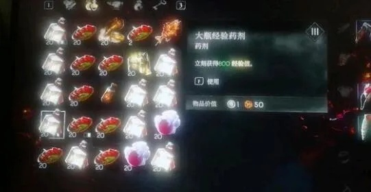 《恶意不息》高效刷经验攻略：道具装备技巧大揭秘