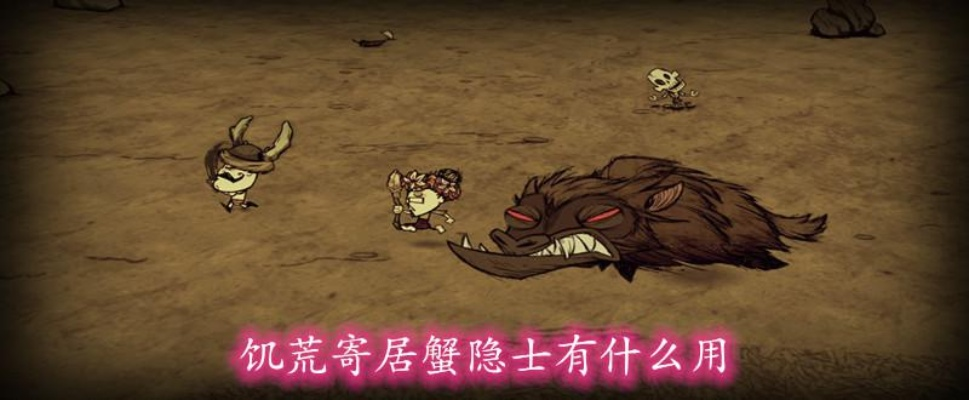 《饥荒》寄居蟹隐士好感提升攻略：高效秘籍解锁新技能