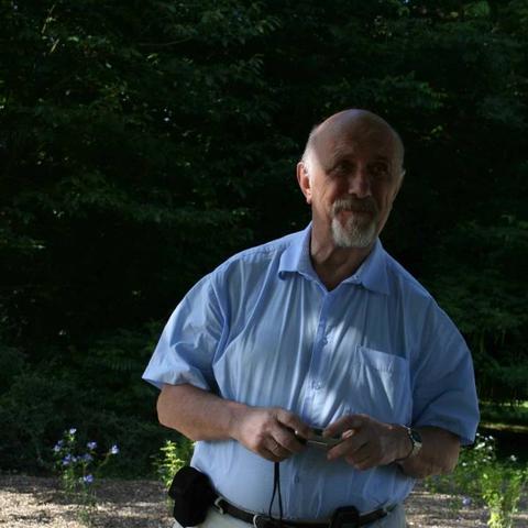 水中木种植攻略：揭秘生存必备的神秘之树